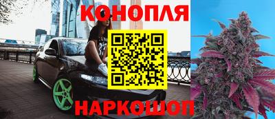 мяу мяу мука Будённовск
